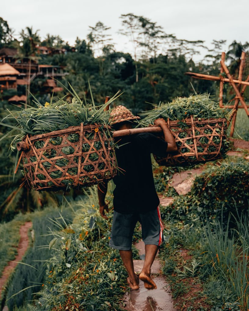 Harvest Home.