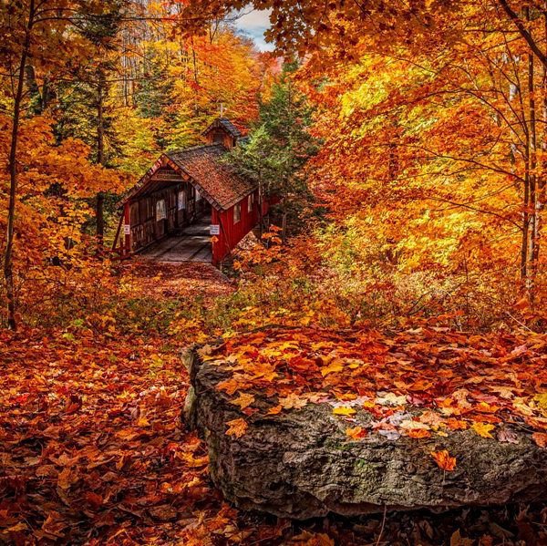 The wheel of the year - Mabon